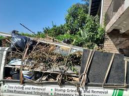 Best Estate Cleanout  in Carney, MD