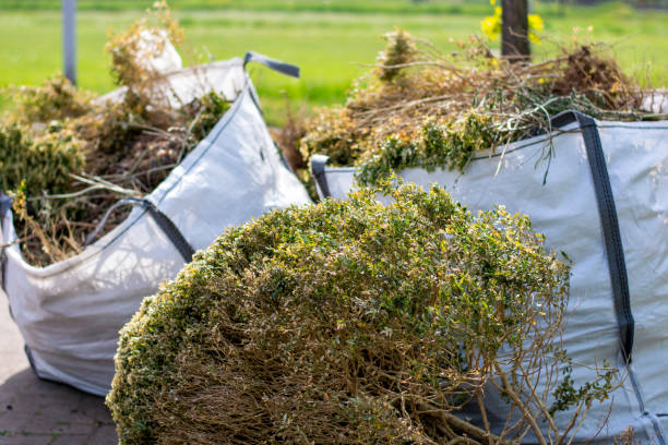 Best Retail Junk Removal  in Carney, MD