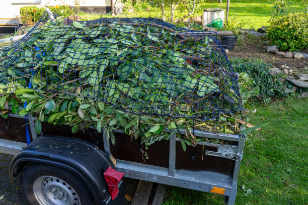 Best Commercial Junk Removal  in Carney, MD